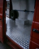 Allestimento Daily Vigili del fuoco