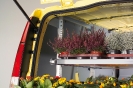 Allestimento trasporto piante