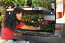 Allestimento trasporto piante
